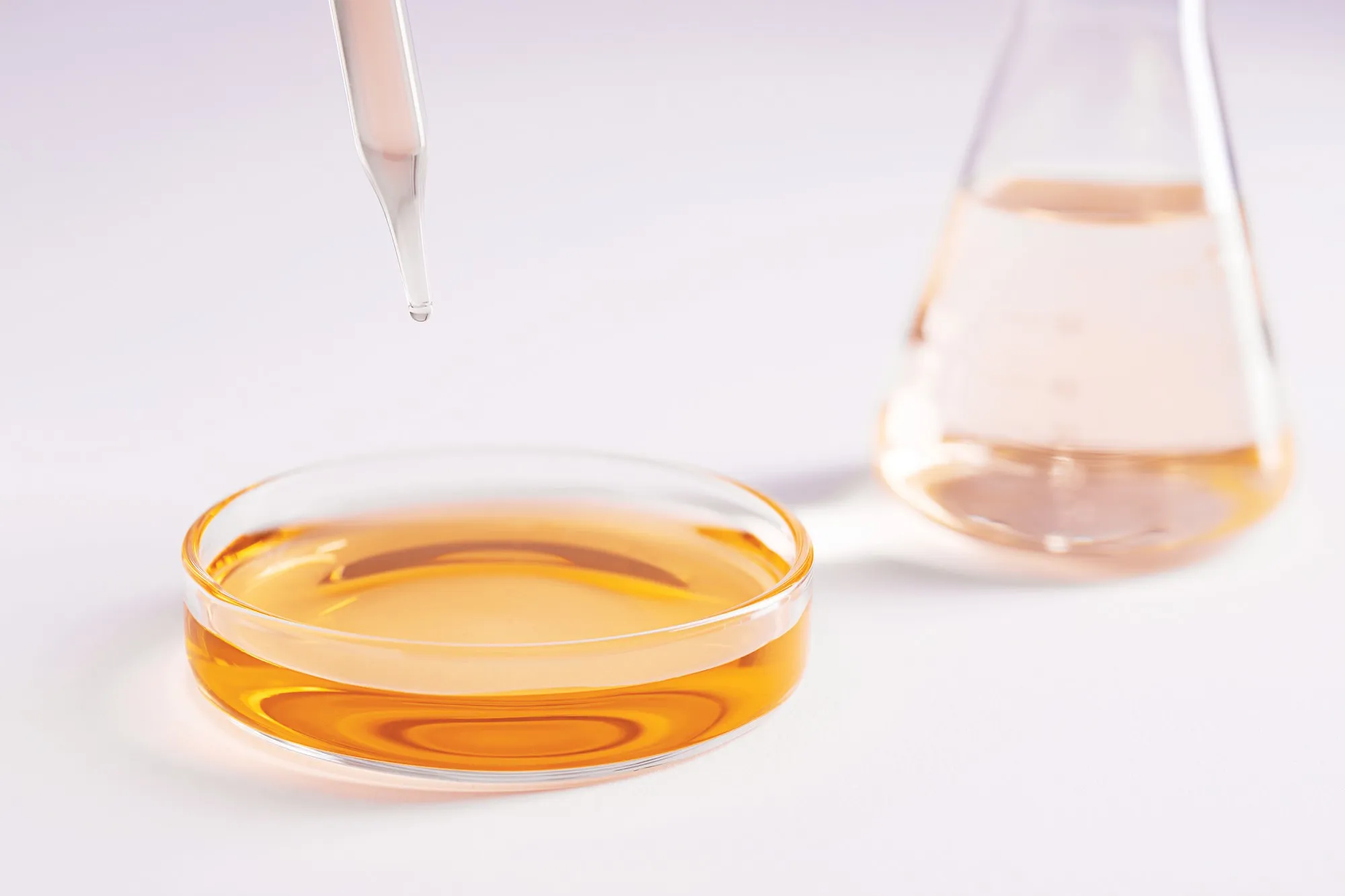 Pipeta y placa de Petri en un laboratorio