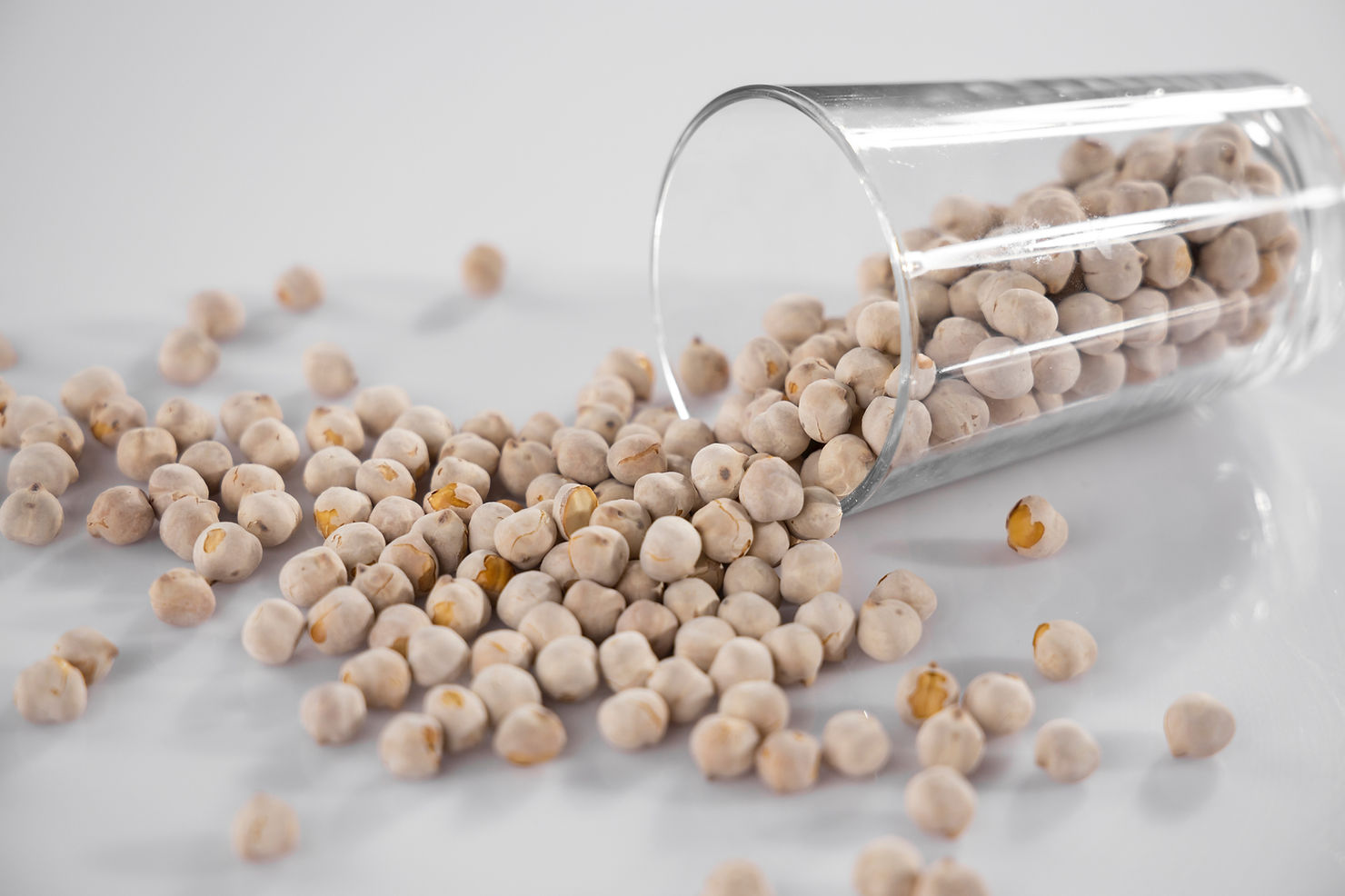 Protéines végétales - aliments riches - légumineuses - pos