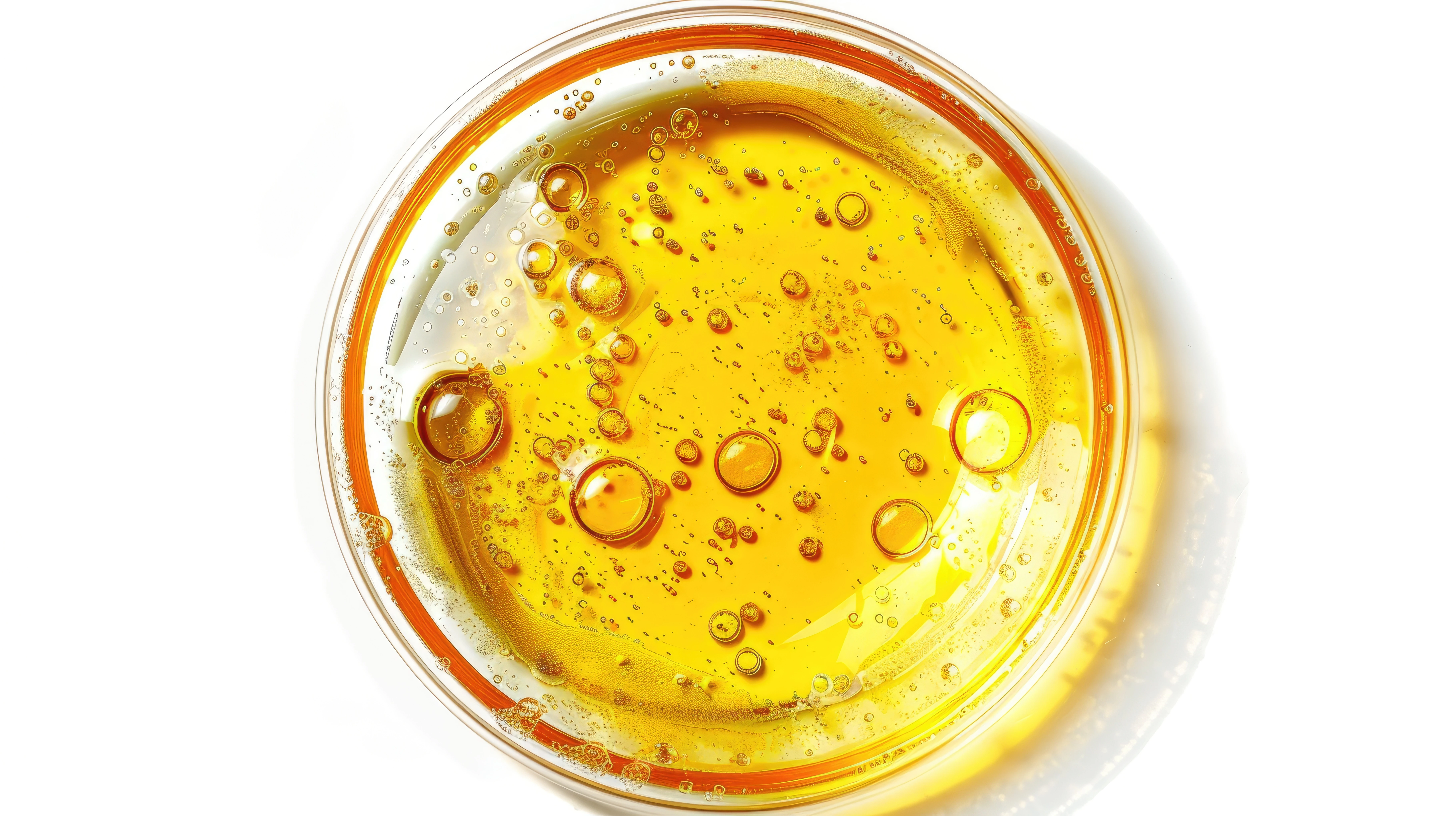 Huile de colza : quels sont ses bienfaits et comment l’utiliser en cuisine ?