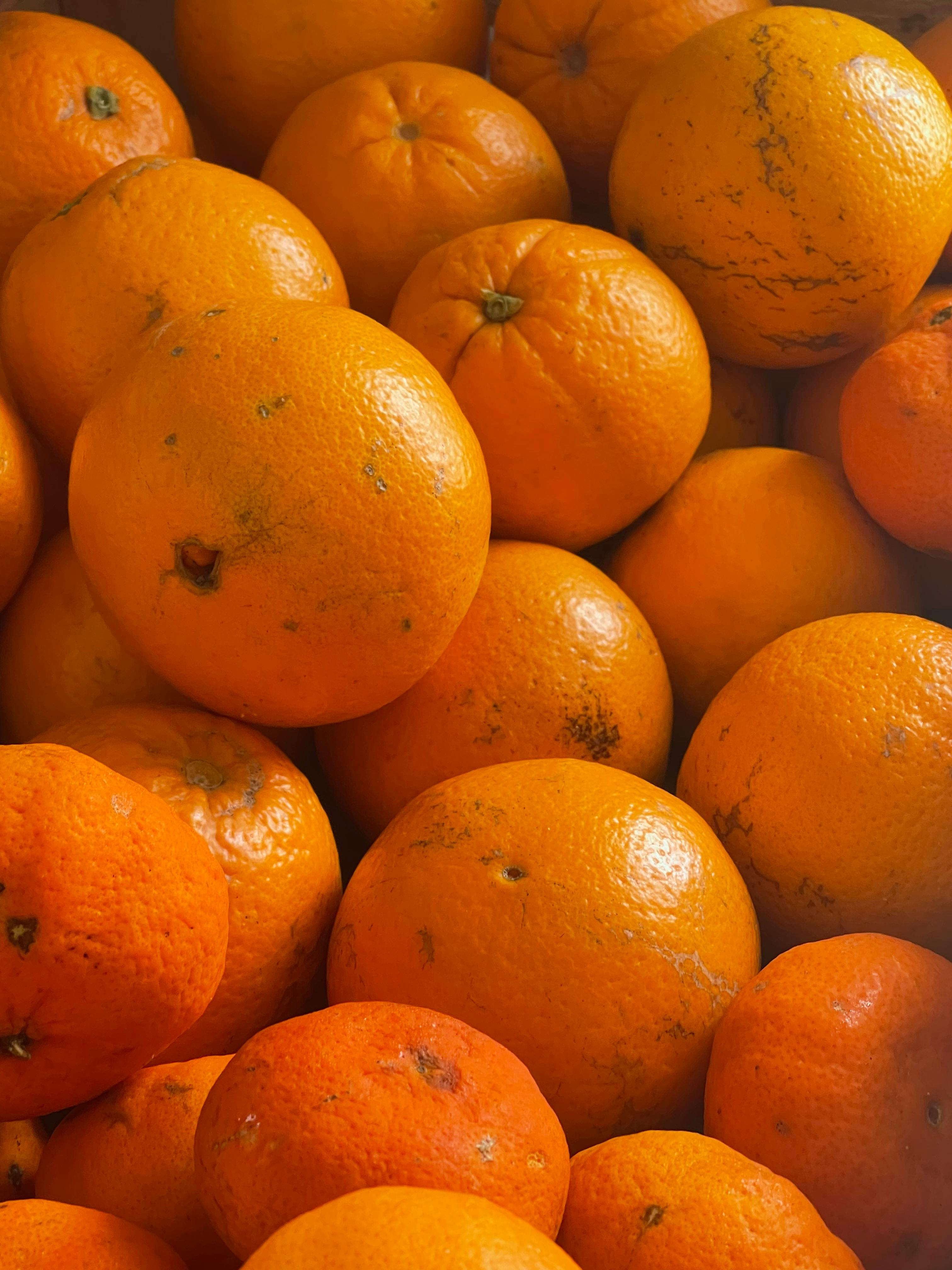 Quels sont les 10 meilleurs aliments pour vous aider à réguler naturellement votre cholestérol ? 
